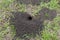 Mole Hole. A pile of earth dug by a mole