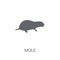 Mole icon. Trendy Mole logo concept on white background from animals collection