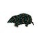 Mole insectivores mammal color silhouette animal