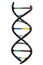 Molecular biology, biotechnology and biochemistry research and genetic code clipart concept with PNG image of DNA helix molecule