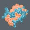 Molecular mode of leptin