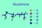 Molecular model of glutathione, isolated on light blue background. Glutathione is an antioxidant in plants, animals