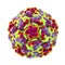 Molecular model of rhinovirus, the virus that causes common cold and rhinitis