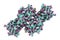 Molecular model of snake venom toxin convulxin