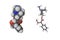 Molecular models of atropine. Atoms are shown as spheres with conventional color coding