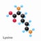 Molecular omposition and structure of Lysine, Lys, best for books and education