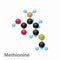 Molecular omposition and structure of Methionine, Met, best for books and education