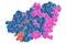 Molecular structure of enzyme nitric oxide reductase