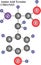 Molecular Structure Of Tyrosine