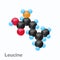 Molecule of Leucine, Leu, an amino acid used in the biosynthesis of proteins