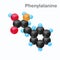 Molecule of Phenylalanine, Phe, an amino acid used in the biosynthesis of proteins