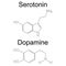 Molecule serotonin and dopamine. Raster