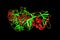 Molecule of shiga toxin. Shiga toxin produced by bacteria Shigella, which cause food-borne infection shigellosis or