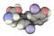 Molecule of triiodothyronine, a thyroid hormone