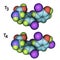 Molecules of thyroid hormones T3 and T4