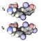 Molecules of thyroid hormones T3 and T4