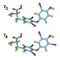 Molecules of thyroid hormones T3 and T4