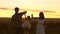 Mom baby and dad holding hands are walking on wheat field at sunset. Father, daughter and mother are playing on field