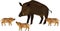 Mom and baby. European wild boar Sus scrofa with piglets