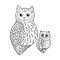 Mom and baby owls vector hand drawing doodle sketch line illustration
