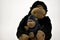 Mom and baby stuffed toy gorilla on a white background..