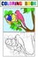 Mom bird feeds the chicks in the nest. Set of children art coloring book and drawing.