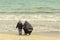 Mom and child on the seashore collect shells