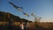 Mom and dad with little daughter jogging with rainbow kites on rural trail at sunset. Young parents with small cute girl