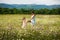 Mom and daughter on a picnic in the chamomile field. Two beautiful blondes in chamomile field on a background of horse