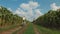 Mom and daughter ride bicycles along a country road