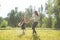 Mom and daughter spinning on the lawn holding hands