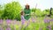 Mom and daughter walking on field and collect bouquet of purple wild flowers.