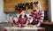 Mom and daughters learn how to make cookies in the kitchen decorated for Christmas