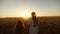 Mom gently hugs daughter against backdrop of a beautiful sunset. adult daughter in arms of her mother in a field in the