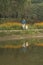 Mom holding daughter hand walking aside lake with reflection