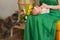 Mom and newbornbaby at home. Pet at home. Green dress colour