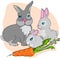 Mom rabbit and cute bunnies.three rabbits and a carrot