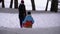 Mom Rolls a Little Girl on a Wooden Sled in a Pine Forest during a Snowfall. Slow Motion