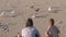 Mom and son are feeding birds gulls and crows on a sandy beach with dunes.