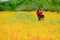 Mom and son running Spring flowers carpet Texas Austin peach tree