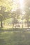 Mom and son are sitting on a bench in a park with a bicycle on a sunny day