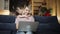 Mom is trying to work on laptop with her daughter cuddling her in living room.