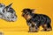 Moment of meeting of two dogs, French Bulldog of unusual grey merle spotted color and Yorkshire Terrier puppy, standing on vibrant