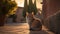 A moment of pure elegance: a cat in golden hour\'s light