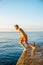 Moment of schoolboy jumping from pier into sea doing tricks