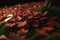 Momiji Kairo, Maple leaves on the ground. Ultra realistic, High resolution.