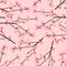 Momo Peach Flower Blossom Seamless on Pink Background. Vector Illustration.