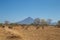 Momotombo view with field and cows during summer station, Nicaragua,