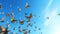 Monarch butterflies set against a sky-blue background