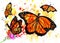 Monarch Butterfly Art